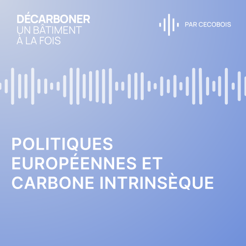 Politiques européennes et carbone intrinsèque