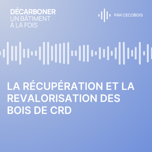 S2 EP6 : La récupération et la revalorisation des bois de CRD